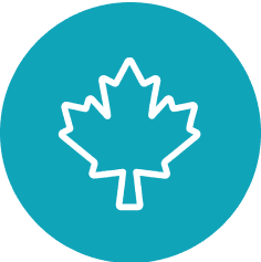 White maple leaf icon on teal background.